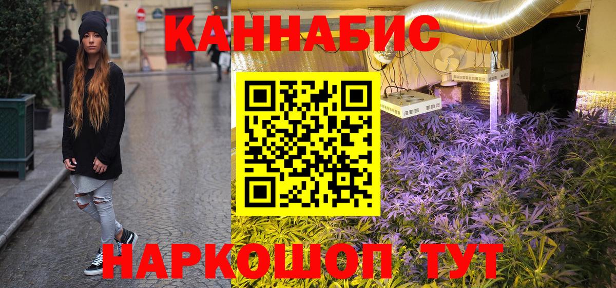 Бошки Шишки SATIVA & INDICA  Конопля конопля  Вход с VPN  Энгельс 